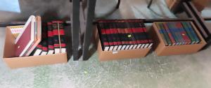Lot 610
