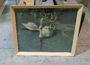 Lot 659A