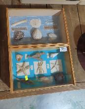 Lot 708