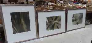 Lot 717