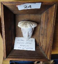 Lot 24