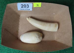 Lot 203