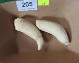 Lot 205