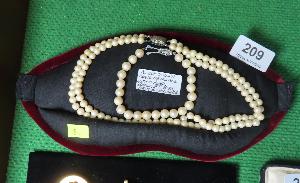 Lot 209