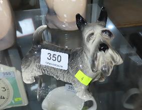 Lot 350