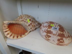 Lot 390