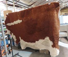 Lot 493