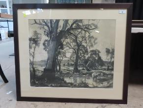 Lot 6