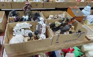 Lot 713