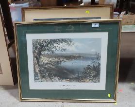 Lot 786