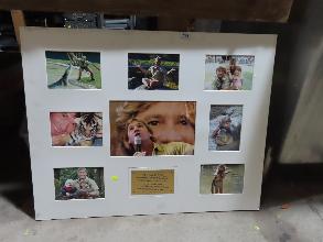 Lot 799