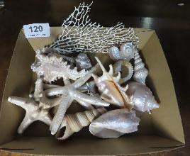 Lot 120