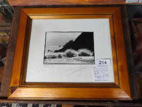 Lot 214