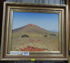 Lot 223