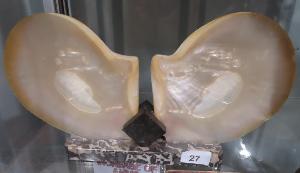 Lot 27