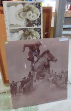 Lot 217