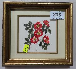 Lot 236