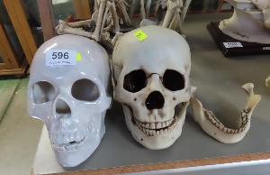 Lot 596