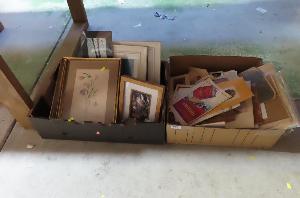 Lot 630
