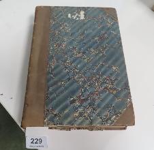 Lot 229