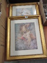 Lot 509