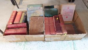 Lot 583