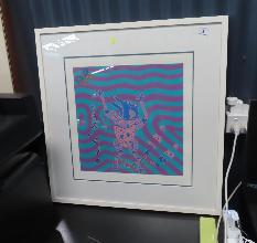 Lot 6