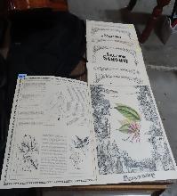 Lot 658A