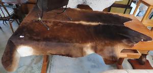 Lot 144
