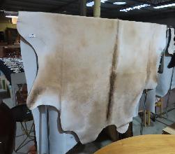 Lot 173