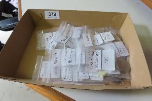 Lot 379
