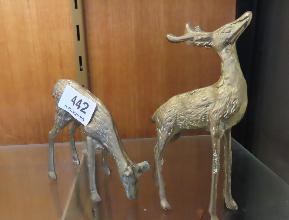 Lot 442