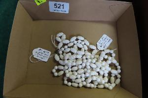 Lot 521