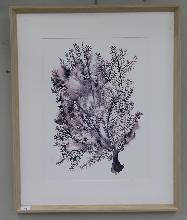 Lot 46