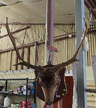 Lot 152