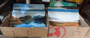 Lot 223