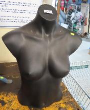 Lot 263