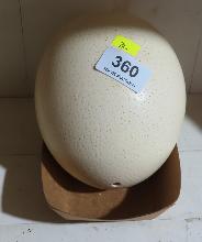 Lot 360