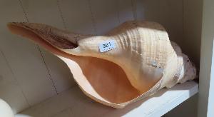 Lot 361