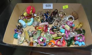 Lot 509