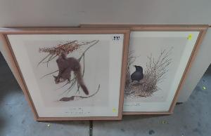 Lot 630