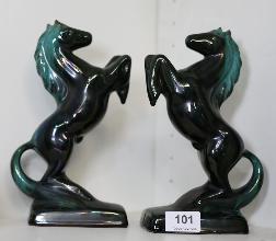 Lot 101