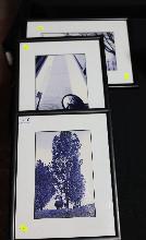 Lot 210