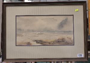 Lot 229