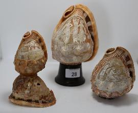 Lot 28