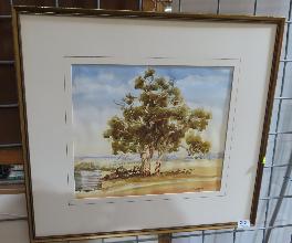 Lot 243