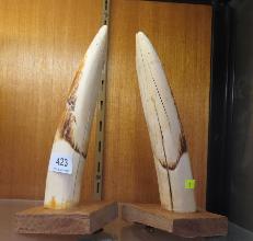 Lot 423
