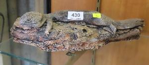 Lot 430