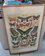Lot 579