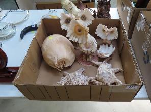 Lot 654